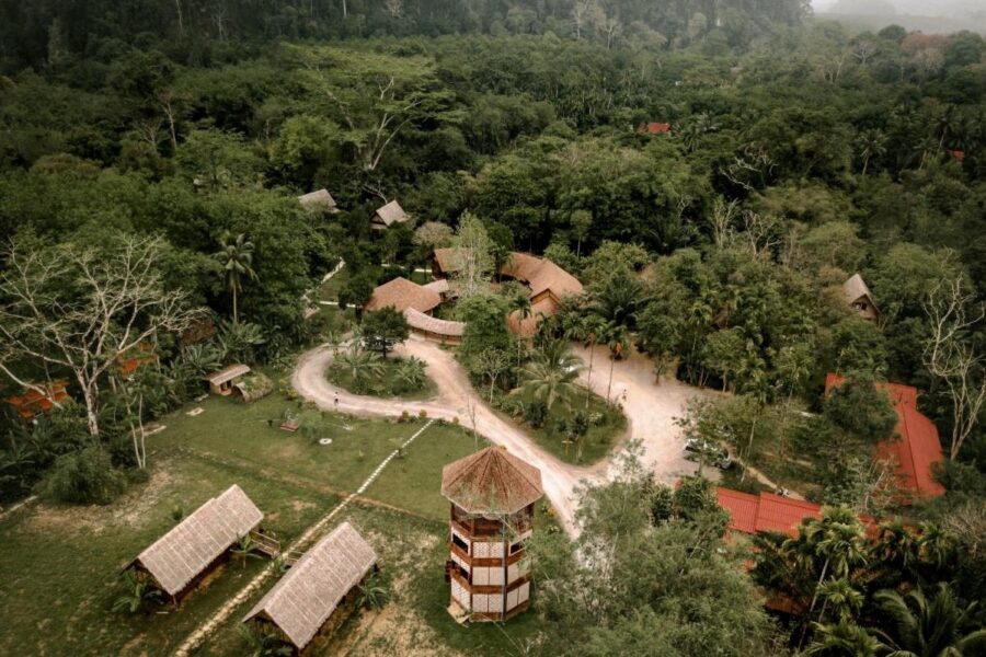 Our Jungle Camp Thailand