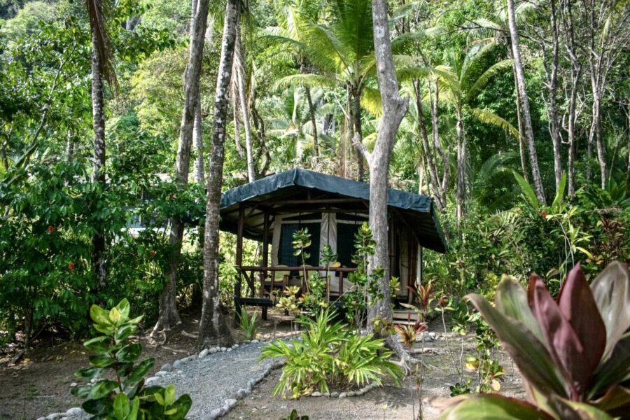 lodge-corcovado-costa-rica